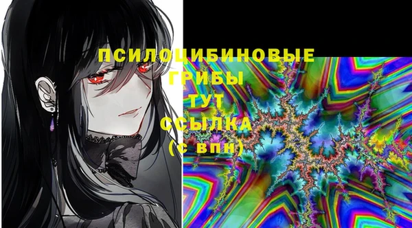 эйфоретик Каменка