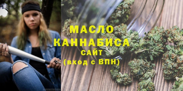 соль ск Каменногорск