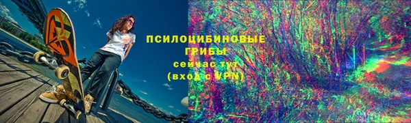 эйфоретик Каменка