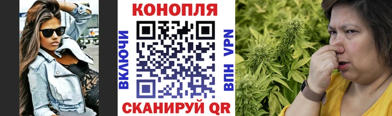 где найти   Ульяновск  Каннабис сатива 